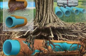 3 Tell-tale Signs You Need Pipe Relining Services Now