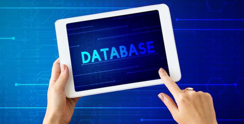 How do I find a Business Database