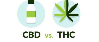 What Is the Difference Between CBD and THC