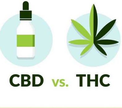 What Is the Difference Between CBD and THC