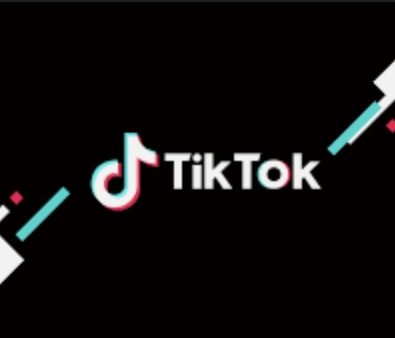 TikTok Success Story