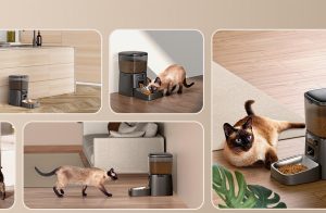 A Buyer’s Guide to Choosing the Best Automatic Pet Feeder from Oneisall