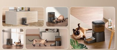 A Buyer’s Guide to Choosing the Best Automatic Pet Feeder from Oneisall